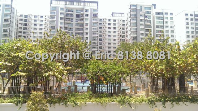 Blk 268C Punggol Field (Punggol), HDB 4 Rooms #157553402